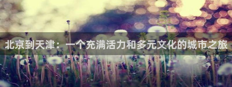 聚富welcome体育3在线注册：北京到天津：一个充满活力和多元文化的城市之旅