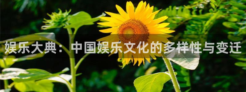 聚富welcome集团：娱乐大典：中国娱乐文化的多样性与变迁