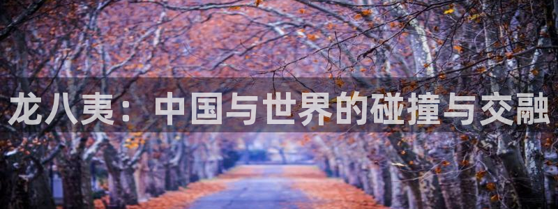 聚富welcome登录：龙八夷：中国与世界的碰撞与交融