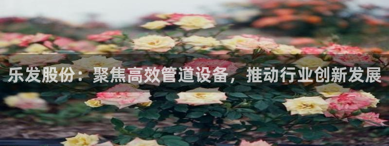 聚富welcome2平台注册：乐发股份：聚焦高效管道设备，推动行业创新发展