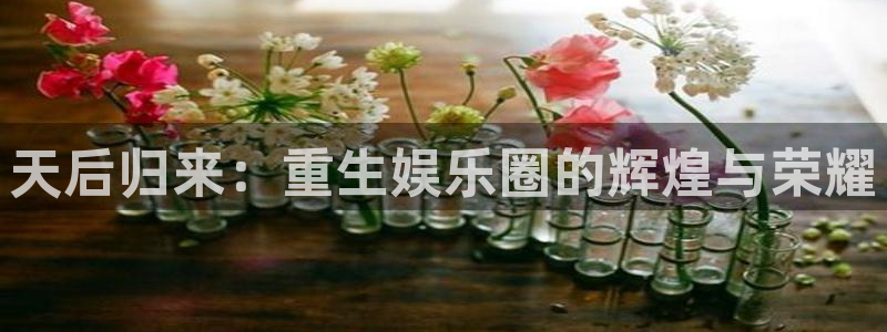聚富welcome主管：天后归来：重生娱乐圈的辉煌与荣耀