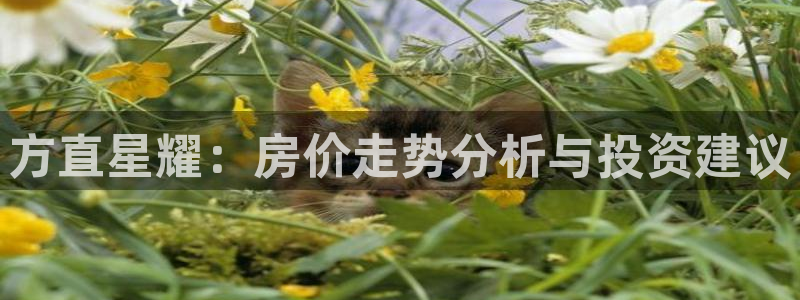 聚富welcome平台注册：方直星耀：房价走势分析与投资建议