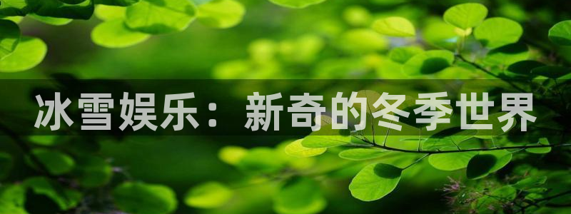 聚富welcome平台：冰雪娱乐：新奇的冬季世界