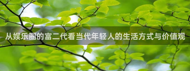 聚富welcome体育热门赛事有哪些：从娱乐圈的富二代看当代年轻人的生活方式与价