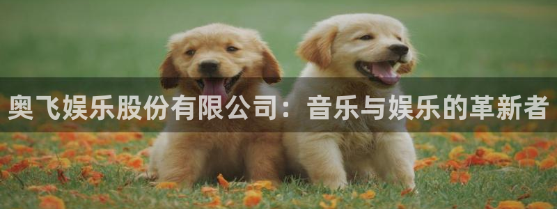 聚富welcome2注册：奥飞娱乐股份有限公司：音乐与娱乐的革新者