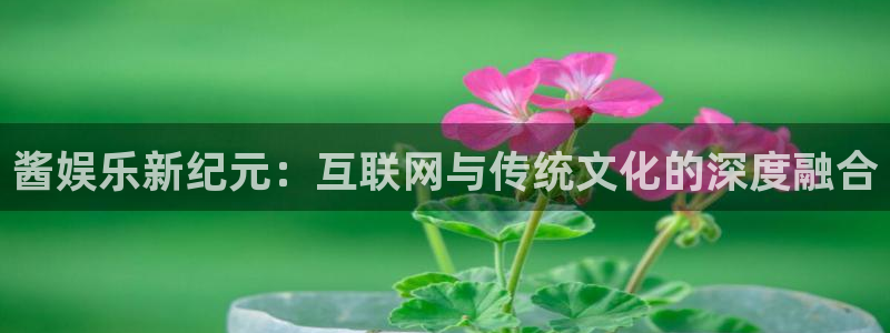 聚富welcome体育网页版入口：酱娱乐新纪元：互联网与传统文化的深度融合