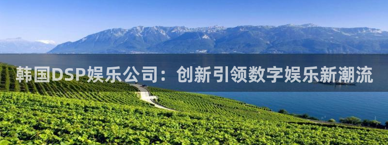 聚富welcome登录：韩国DSP娱乐公司：创新引领数字娱乐新潮流