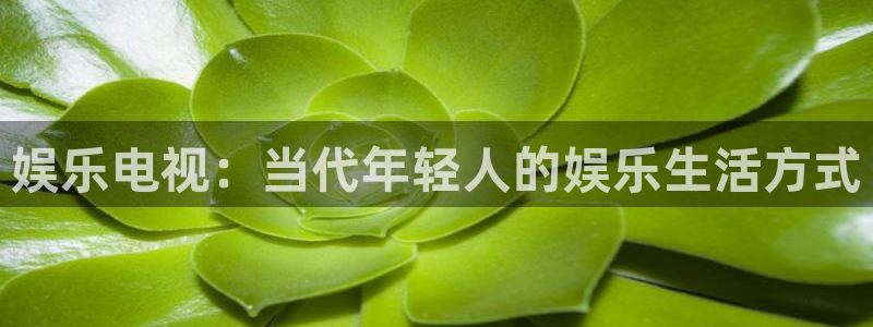 聚富welcome官网入口：娱乐电视：当代年轻人的娱乐生活方式