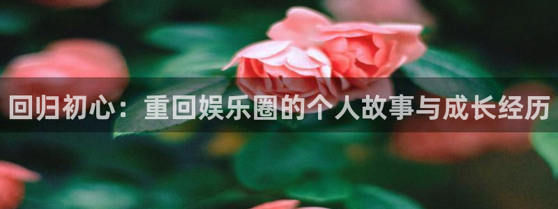 聚富welcome集团