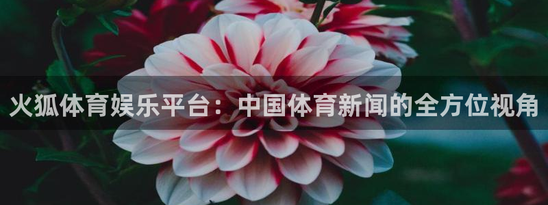聚富welcome2平台