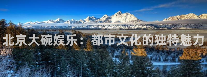 聚富welcome招商：北京大碗娱乐：都市文化的独特魅力