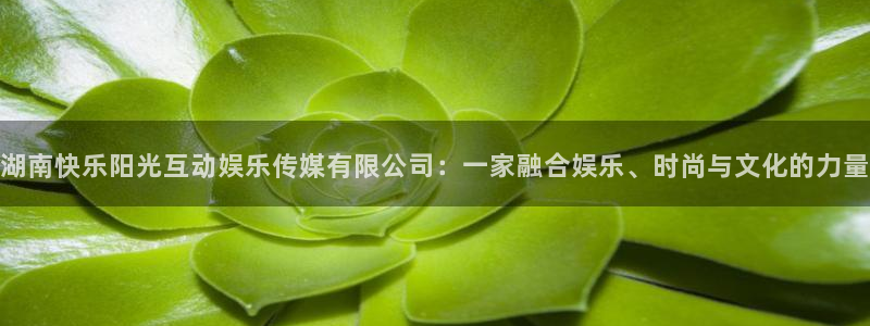 聚富welcome体育2：湖南快乐阳光互动娱乐传媒有限公司：一家融合娱乐、时尚与