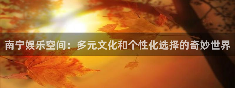 聚富welcome5注册：南宁娱乐空间：多元文化和个性化选择的奇妙世界