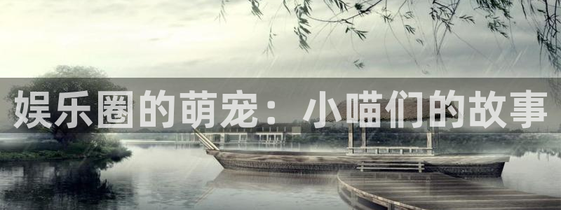 聚富welcome平台招商：娱乐圈的萌宠：小喵们的故事