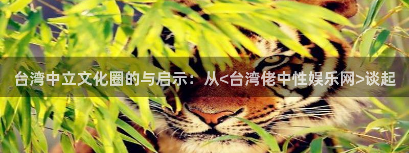 聚富welcome平台在线注册：台湾中立文化圈的与启示：从<台湾佬中性娱乐网>谈起