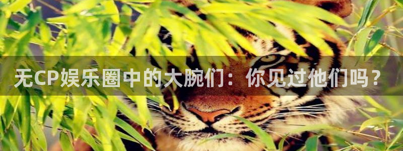 聚富welcome体育老板是谁：无CP娱乐圈中的大腕们：你见过他们吗？